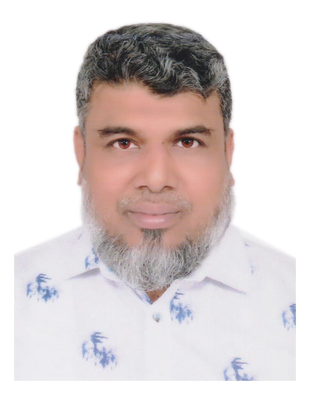 Mohammad Mahedi Arif